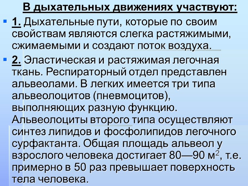 В дыхательных движениях участвуют: 1. Дыхательные пути, которые по своим свойствам являются слегка растяжимыми,